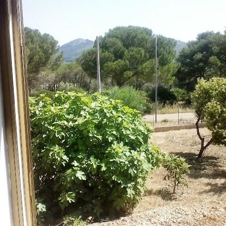 Privacy & Relax In Sardegna Bed & Breakfast Porto Conte Exterior photo